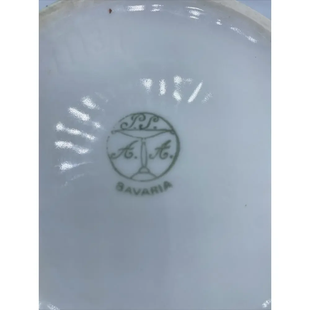 Antique Bavarian Schonwald AG Hand Painted porcelain Vase. Daisy Motif-Signed